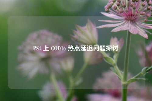 PS4 上 COD16 热点延迟问题探讨