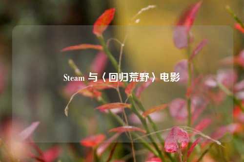 Steam 与〈回归荒野〉电影