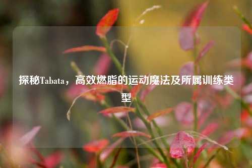 探秘Tabata，高效燃脂的运动魔法及所属训练类型