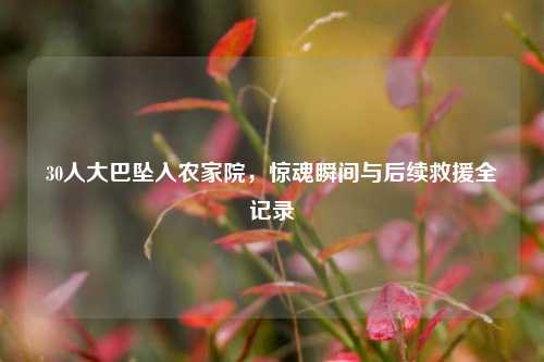 30人大巴坠入农家院，惊魂瞬间与后续救援全记录
