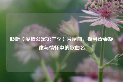 聆听〈爱情公寓第三季〉片尾曲，探寻青春旋律与情怀中的歌曲名