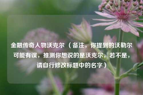 金融传奇人物沃克尔 （备注，你提到的沃勒尔可能有误，推测你想说的是沃克尔，若不是，请自行修改标题中的名字）