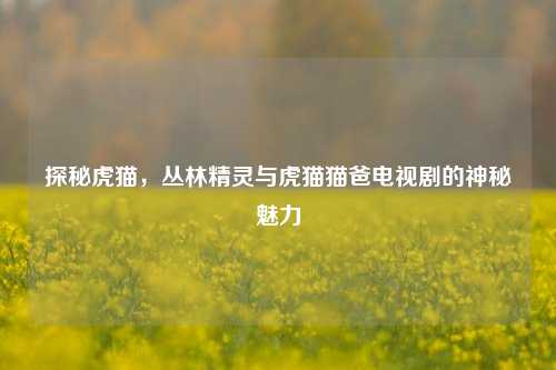 探秘虎猫,丛林精灵与虎猫猫爸电视剧的神秘魅力