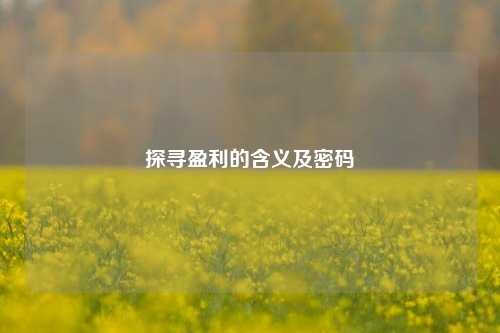 探寻盈利的含义及密码