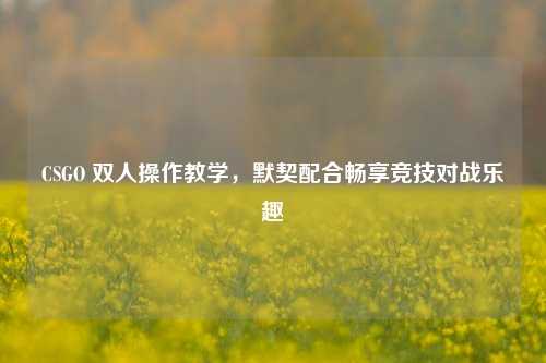CSGO 双人操作教学,默契配合畅享竞技对战乐趣