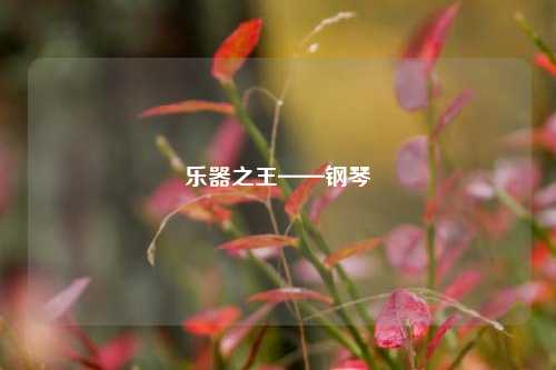 乐器之王——钢琴