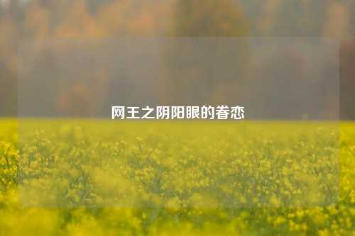 网王之阴阳眼的眷恋