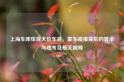 上海车库惊现天价车祸,豪车碰撞背后的警示与思考及相关视频