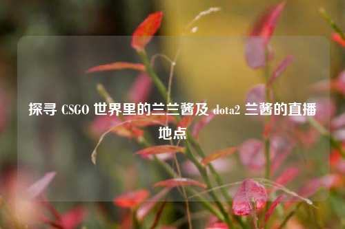 探寻 CSGO 世界里的兰兰酱及 dota2 兰酱的直播地点
