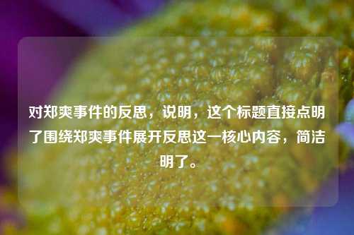对郑爽事件的反思，说明，这个标题直接点明了围绕郑爽事件展开反思这一核心内容，简洁明了。