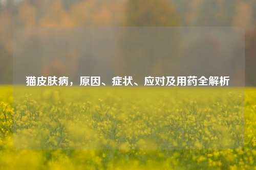 猫皮肤病，原因、症状、应对及用药全解析
