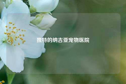 独特的纳吉亚宠物医院