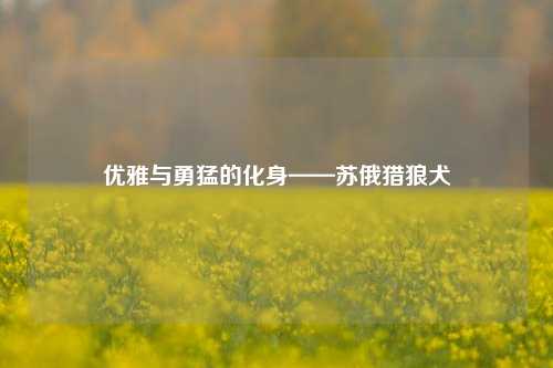 优雅与勇猛的化身——苏俄猎狼犬
