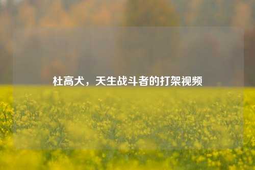 杜高犬,天生战斗者的打架视频