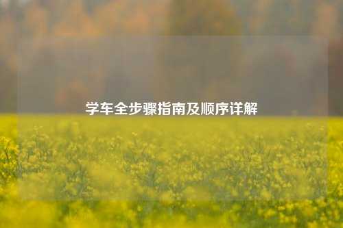 学车全步骤指南及顺序详解