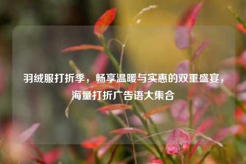 羽绒服打折季，畅享温暖与实惠的双重盛宴，海量打折广告语大集合