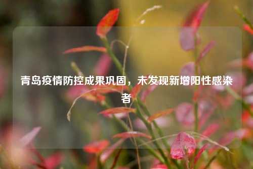 青岛疫情防控成果巩固，未发现新增阳性感染者
