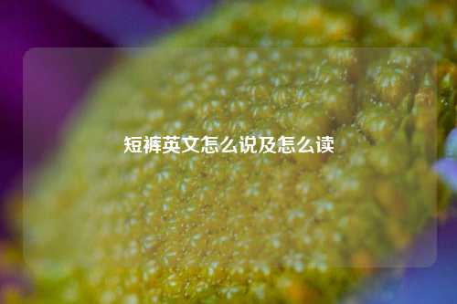 短裤英文怎么说及怎么读
