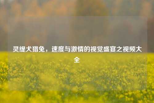 灵缇犬猎兔,速度与激情的视觉盛宴之视频大全