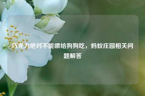 巧克力绝对不能喂给狗狗吃,蚂蚁庄园相关问题解答