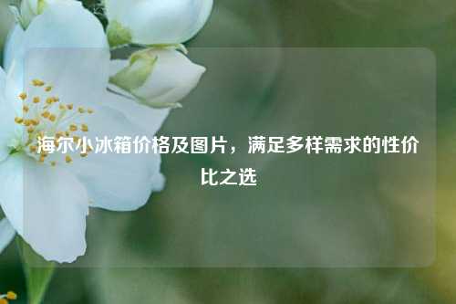 海尔小冰箱价格及图片，满足多样需求的性价比之选