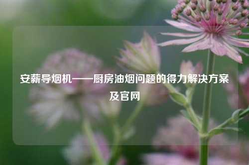 安薪导烟机——厨房油烟问题的得力解决方案及官网