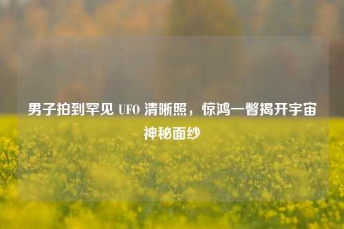 男子拍到罕见 UFO 清晰照，惊鸿一瞥揭开宇宙神秘面纱