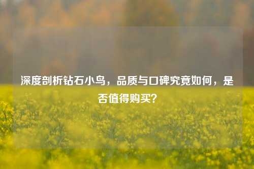 深度剖析钻石小鸟，品质与口碑究竟如何，是否值得购买？