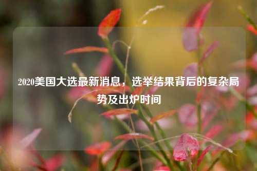 2020美国大选最新消息，选举结果背后的复杂局势及出炉时间