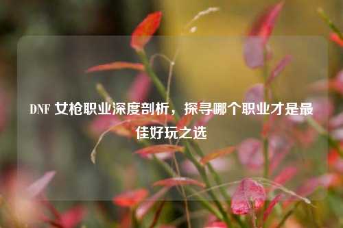 DNF 女枪职业深度剖析,探寻哪个职业才是最佳好玩之选