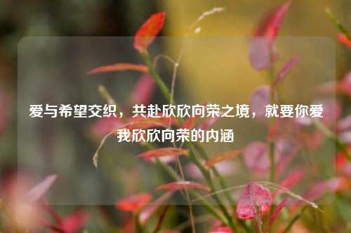 爱与希望交织，共赴欣欣向荣之境，就要你爱我欣欣向荣的内涵