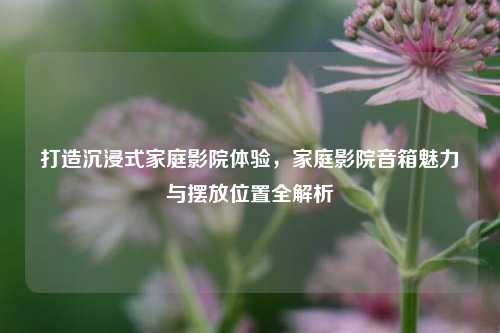 打造沉浸式家庭影院体验,家庭影院音箱魅力与摆放位置全解析