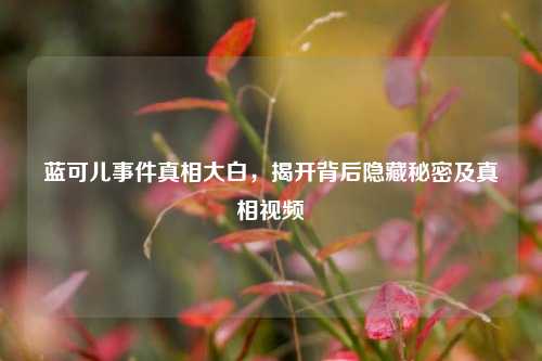 蓝可儿事件真相大白，揭开背后隐藏秘密及真相视频