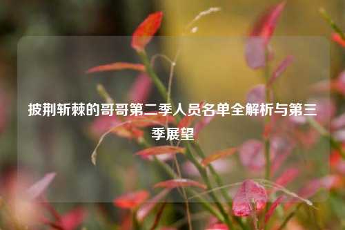 披荆斩棘的哥哥第二季人员名单全解析与第三季展望