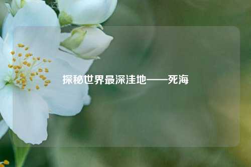 探秘世界最深洼地——死海