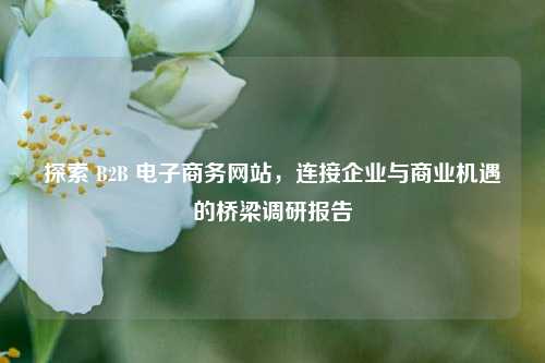 探索 B2B 电子商务网站，连接企业与商业机遇的桥梁调研报告