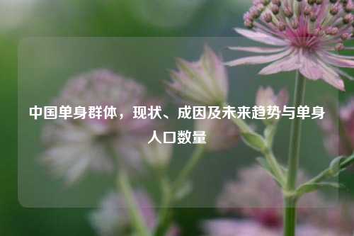 中国单身群体，现状、成因及未来趋势与单身人口数量