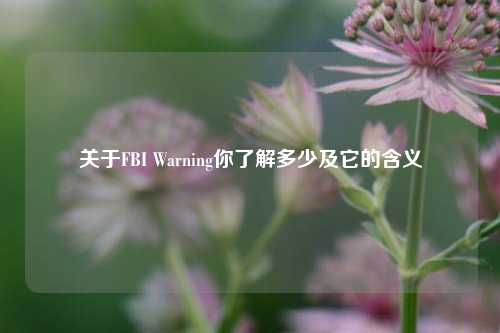 关于FBI Warning你了解多少及它的含义