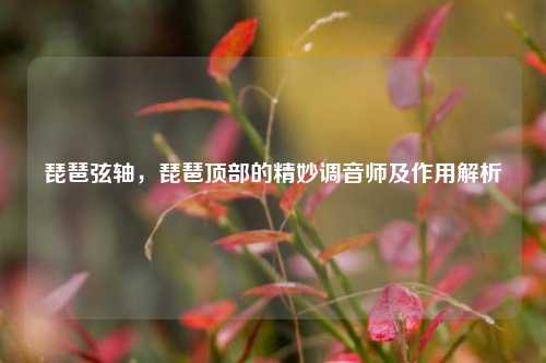 琵琶弦轴，琵琶顶部的精妙调音师及作用解析