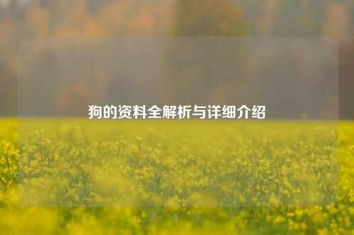 狗的资料全解析与详细介绍