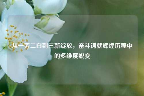 从一穷二白到三新绽放,奋斗铸就辉煌历程中的多维度蜕变