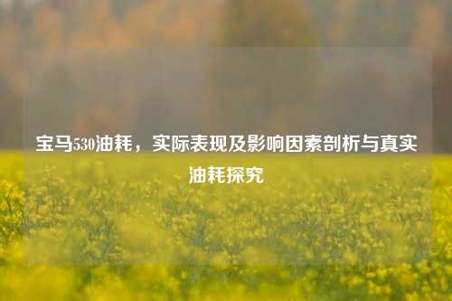 宝马530油耗,实际表现及影响因素剖析与真实油耗探究