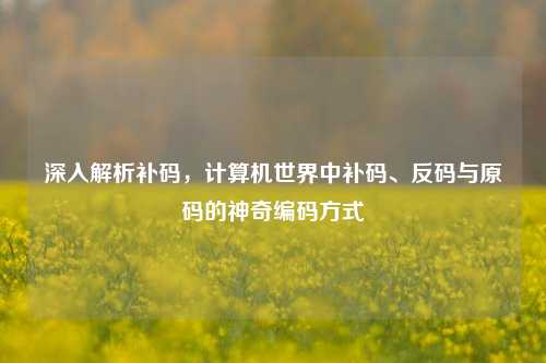 深入解析补码,计算机世界中补码、反码与原码的神奇编码方式