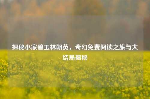 探秘小家碧玉林朝英，奇幻免费阅读之旅与大结局揭秘