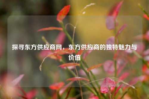 探寻东方供应商网，东方供应商的独特魅力与价值
