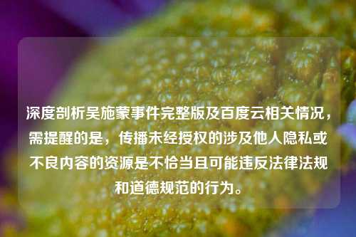 深度剖析吴施蒙事件完整版及百度云相关情况,需提醒的是,传播未经授权的涉及他人隐私或不良内容的资源是不恰当且可能违反法律法规和道德规范的行为。