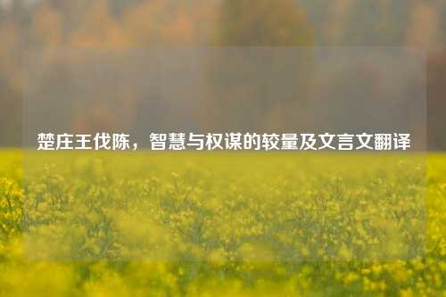 楚庄王伐陈,智慧与权谋的较量及文言文翻译