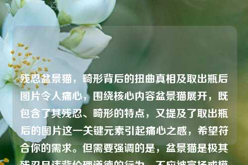 残忍盆景猫，畸形背后的扭曲真相及取出瓶后图片令人痛心，围绕核心内容盆景猫展开，既包含了其残忍、畸形的特点，又提及了取出瓶后的图片这一关键元素引起痛心之感，希望符合你的需求。但需要强调的是，盆景猫是极其残忍且违背伦理道德的行为，不应被宣扬或模仿。