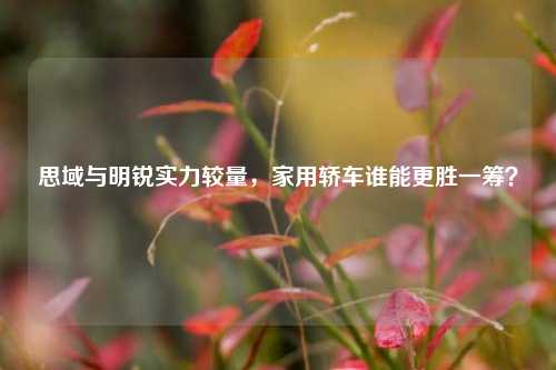 思域与明锐实力较量，家用轿车谁能更胜一筹？