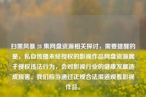 扫黑风暴 28 集网盘资源相关探讨，需要提醒的是，私自传播未经授权的影视作品网盘资源属于侵权违法行为，会对影视行业的健康发展造成损害。我们应当通过正规合法渠道观看影视作品。